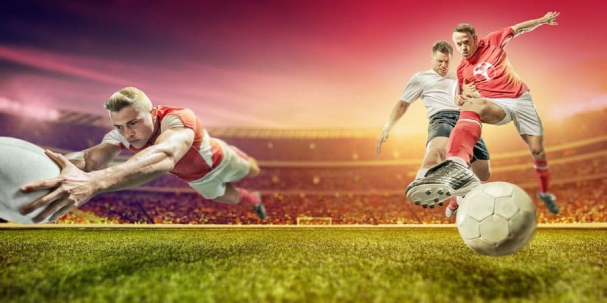 Top Insights into a Premier Sports Betting Site